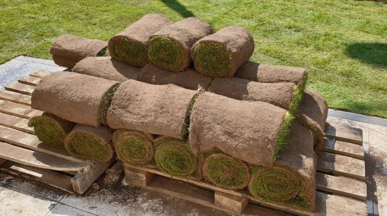 Pose de rouleaux de gazon pour création de pelouse sur mesure par Greenrod - votre partenaire multi-services